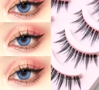 Classic Eye Lashes